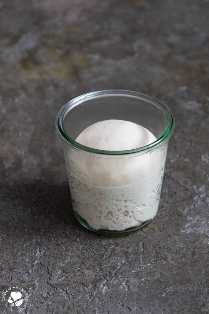 Reifer Lievito Madre in einem Glas.