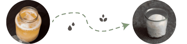 Lievito Madre mit Hefewasser ansetzen