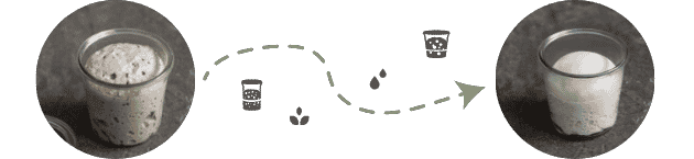 Sauerteig zu Lievito Madre umzüchten.