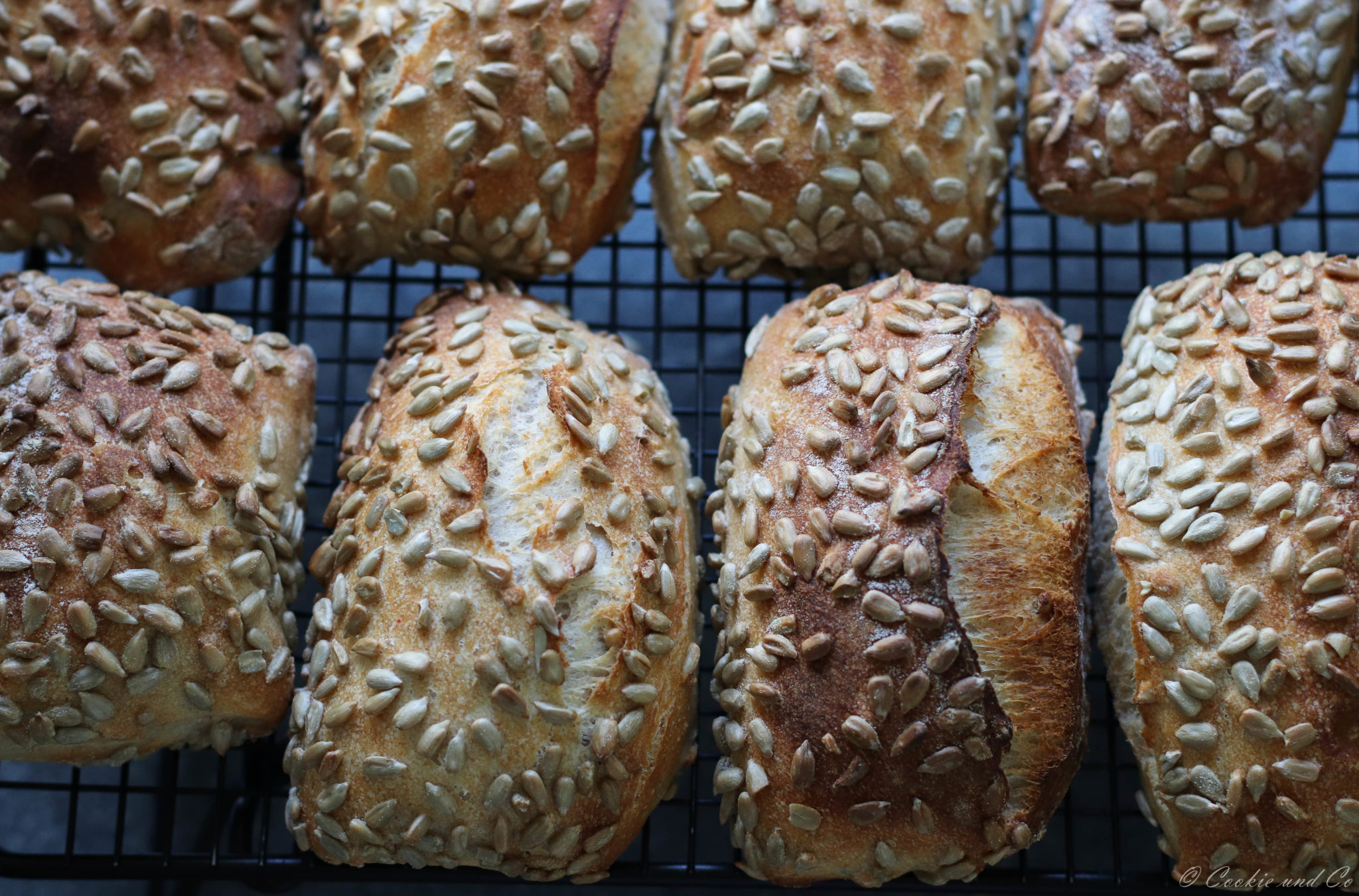 Sonnenblumenkernbrötchen