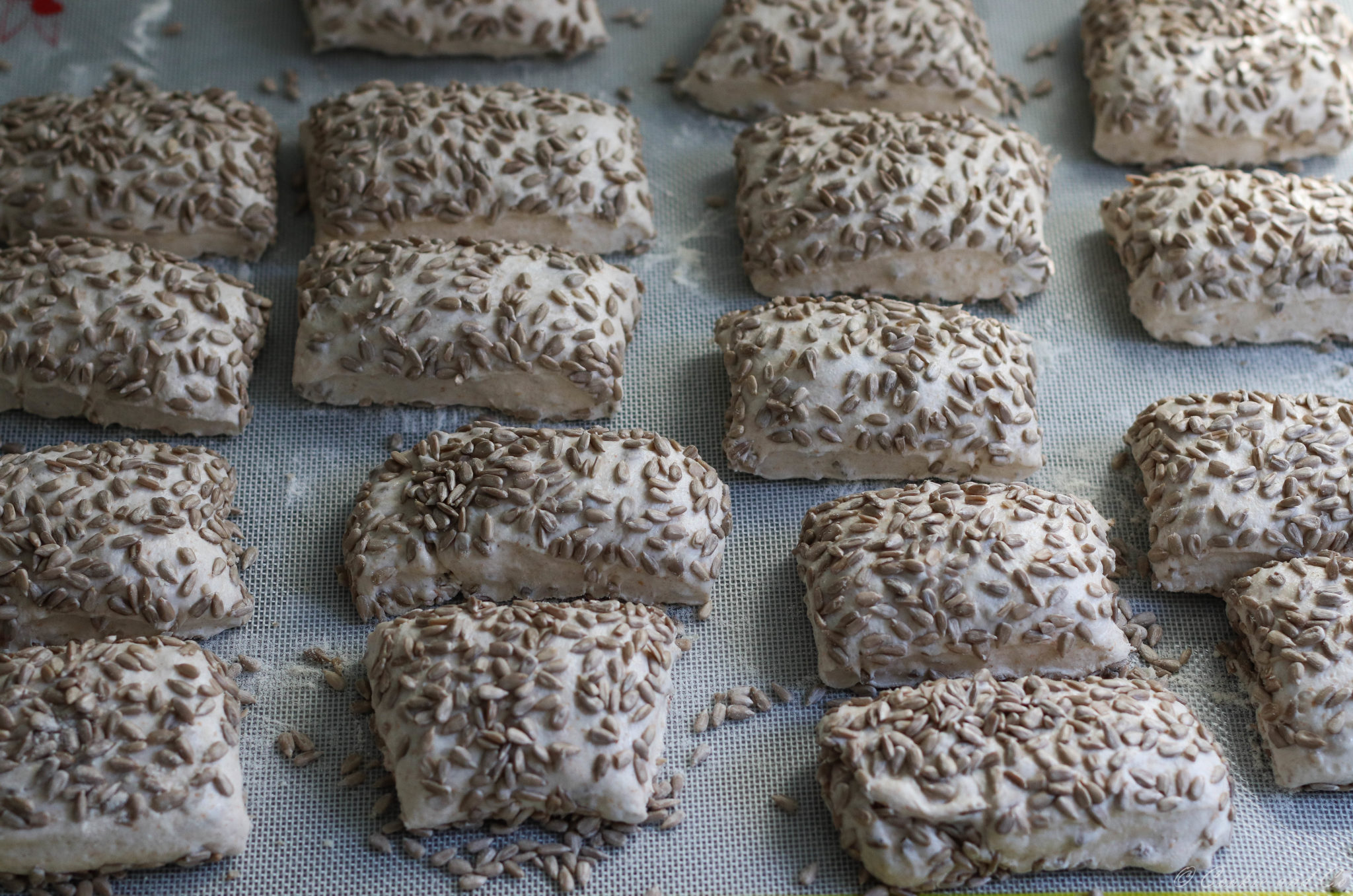 Sonnenblumenkernbrötchen