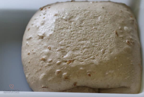 Zwiebel-Bier-Stangen