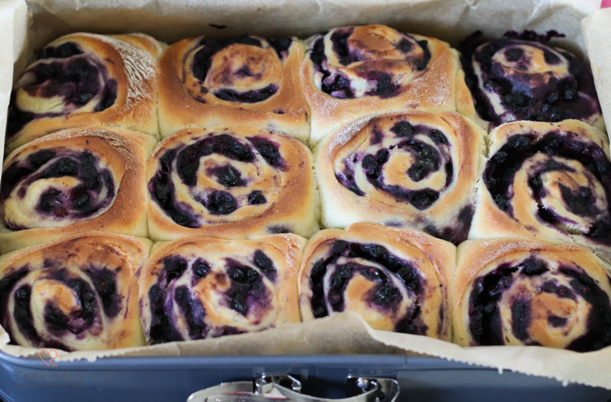 Saftige Hefeschnecken mit Blaubeeren frisch gebacken in der Backform.