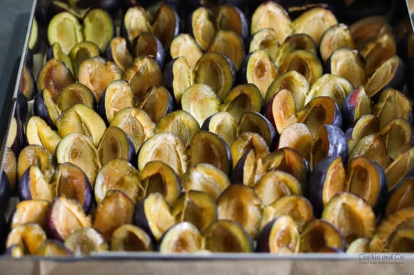 Zwetschgenkuchen mit Streusel