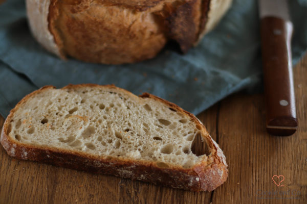 Elsässer Federweißling