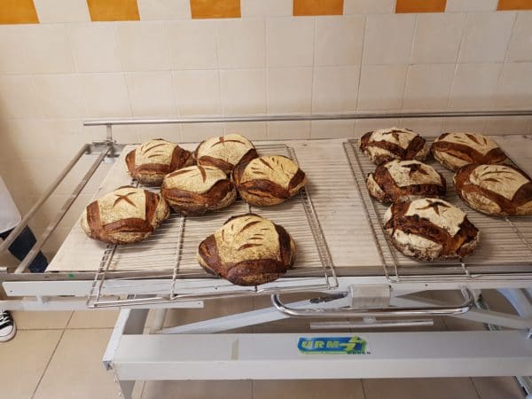 Backen in Frankreich: Tourte de meule