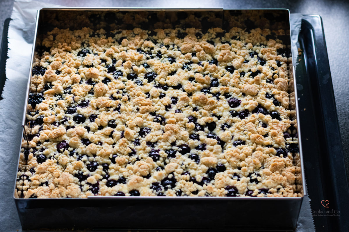 Blaubeer-Käsekuchen mit Streusel nach dem Backen