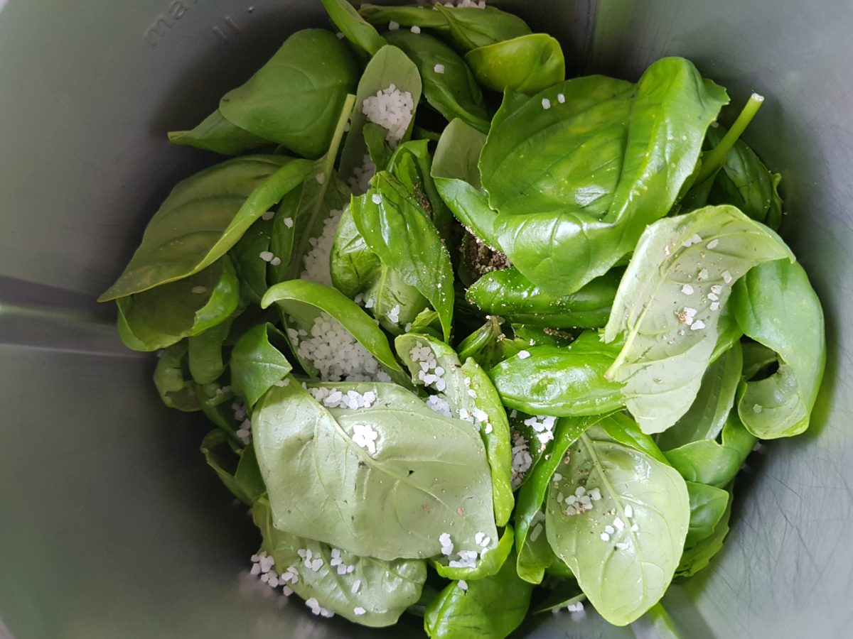 Mediterrane Kräuter im Mixer