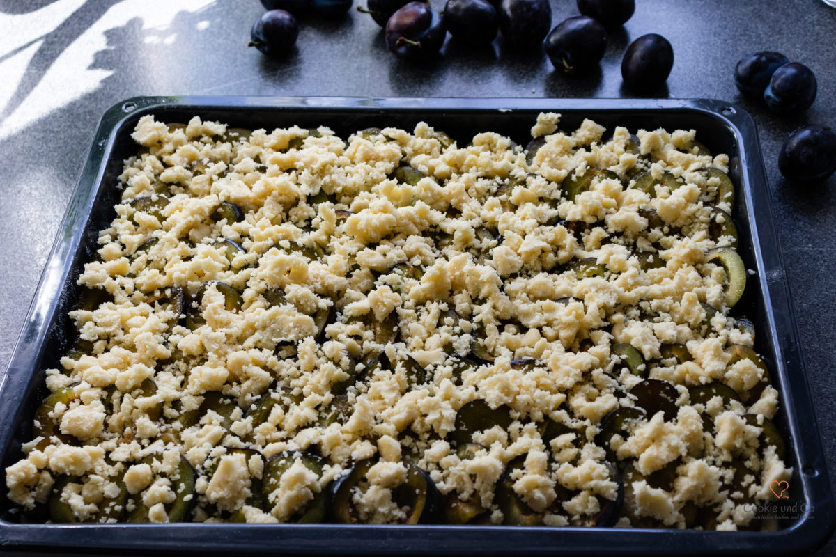 Pflaumenkuchen aus Quark-Öl-Teig auf einem Backblech vor dem Backenmit Streuseln
