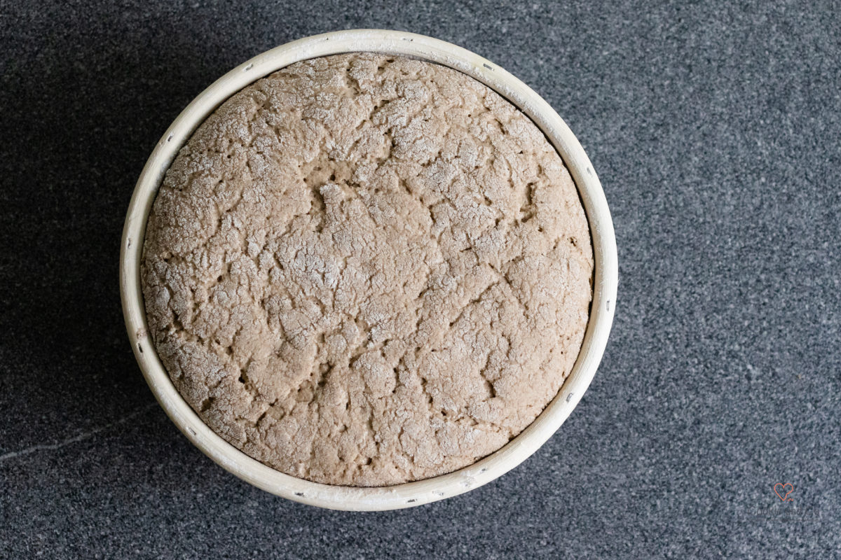 Roggenbrot 80/20 nach der Stückgare