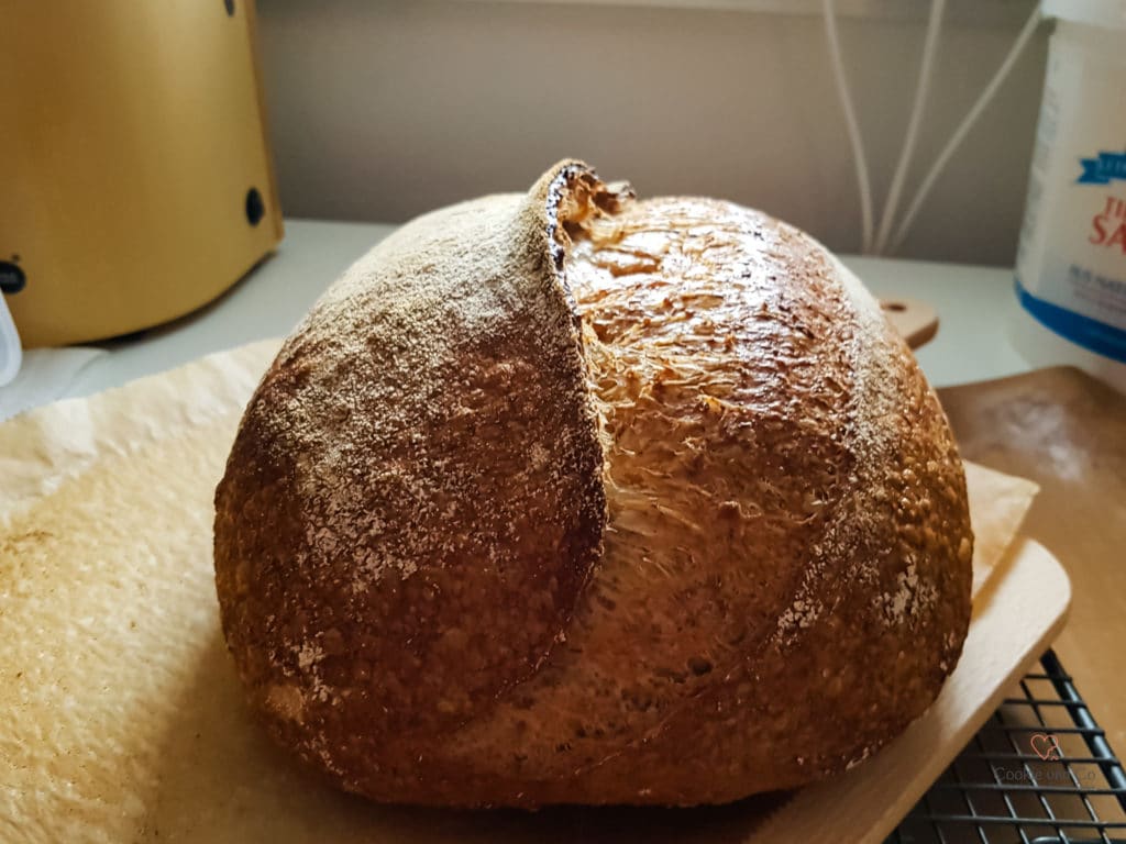 Vollkornbrot mit Vollkorn Manitoba Mehl und langer Teigführung.