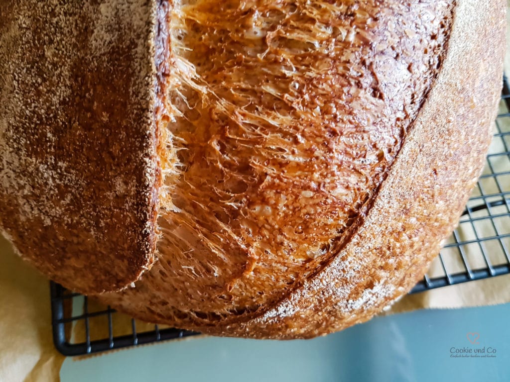 Vollkornbrot mit Vollkorn Manitoba Mehl und langer Teigführung.