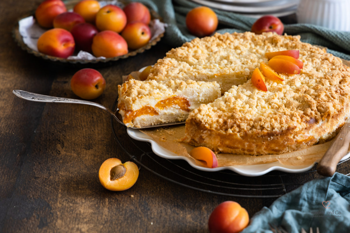 Aprikosen Käsekuchen mit Streusel