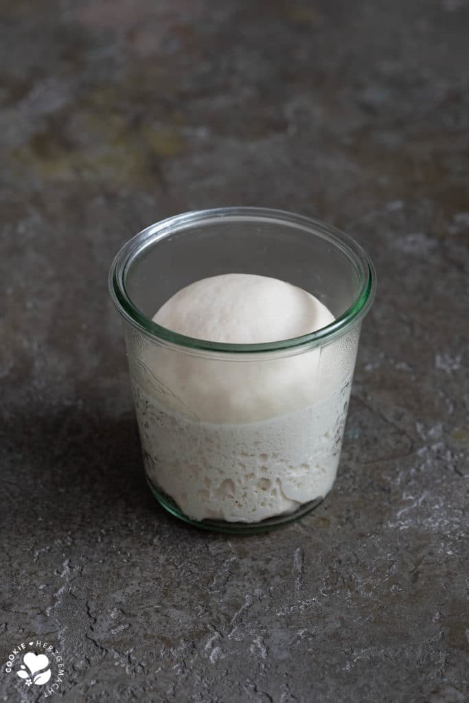 Reife Pâte fermentée Vorteig in einem Einmachglas.