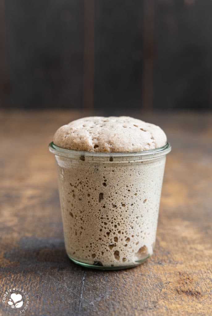 Sauerteig, Sourdough, Roggensauerteig