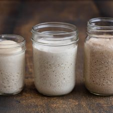 verschiedene Sauerteige: Lievito Madre, Weizensauerteig und Roggensauerteig
