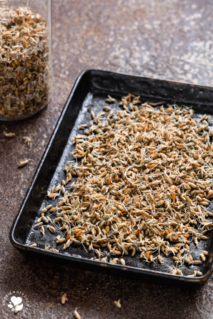 gekeimtes Getreide für Backmalz