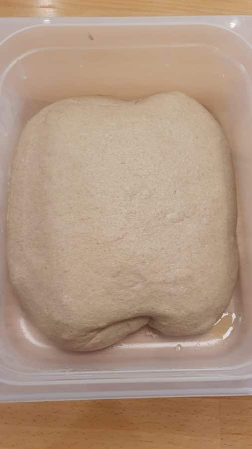 Teig für Weizenvollkornbrötchen in einer Teigwanne