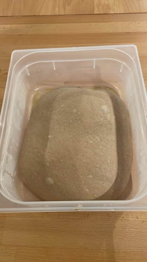 Teig für Weizenvollkornbrötchen in einer Teigwanne