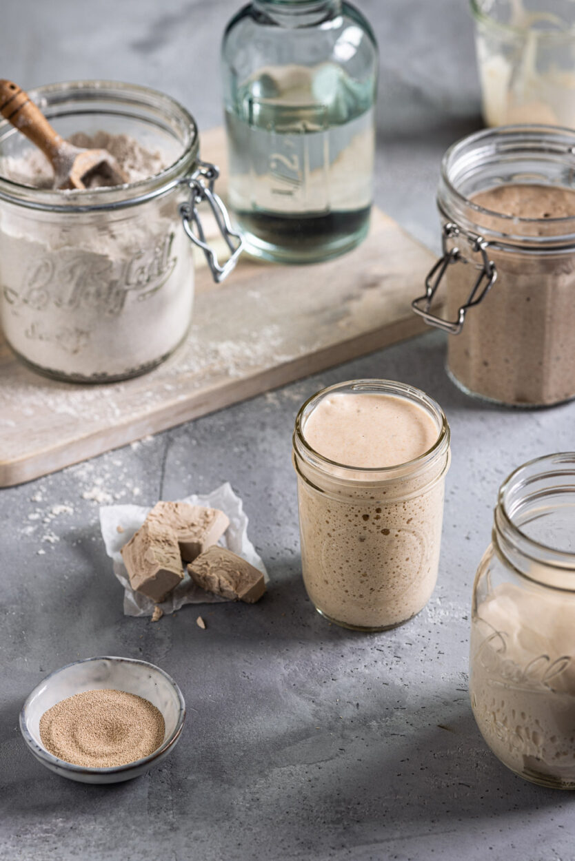 Verschiedene Sauerteig und Wasser in Gläsern mit Trockenhefe und Frischhefe im Vordergrund. 