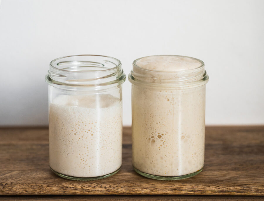 Fermentation von Sauerteigen.